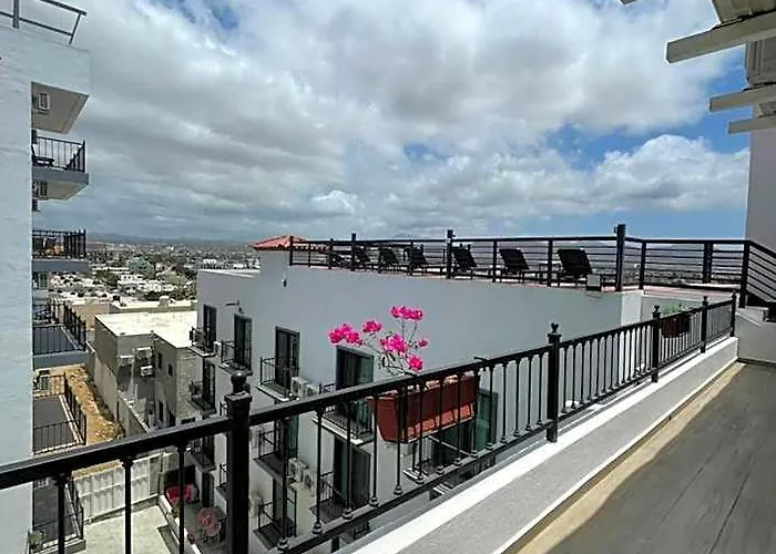 Hotel Morgan & Residences Cabo San Lucas